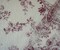 White-Red Nylon Floral Paisley Printed Lace Mesh Knit Fabric By the Yard